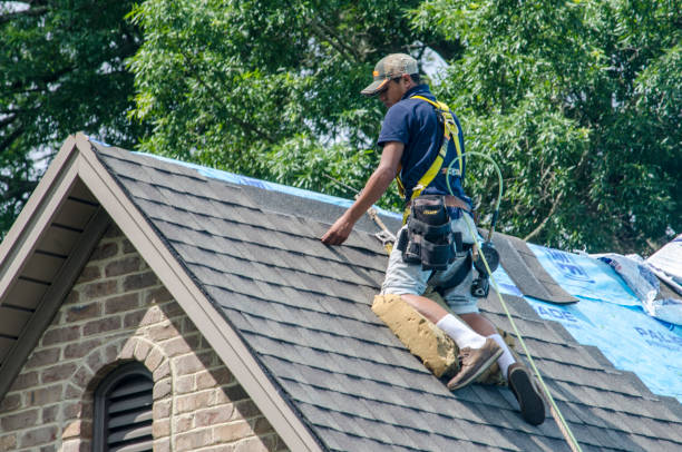 Roof Gutter Cleaning in North Adams, MA